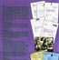 Concert Programme - The Web/Script Tour 83 (page 3)